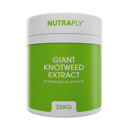 Giant Knotweed Extract