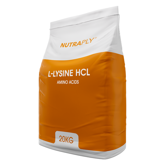 L-Lysine HCL Powder